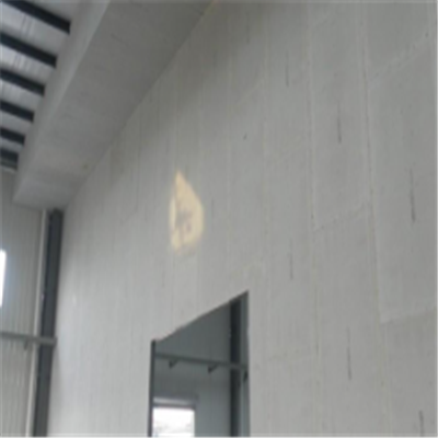 江东宁波ALC板|EPS加气板隔墙与混凝土整浇联接的实验研讨